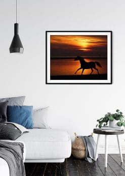 Horse Silhouette In Sunset