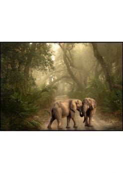 Elephants In The Jungle