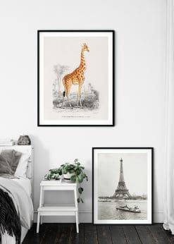 Giraffe Vintage