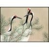 Red Crowned Cranes Vintage Illustration