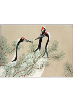 Red Crowned Cranes Vintage Illustration