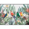 Colorful Macaw Parrots Illustration