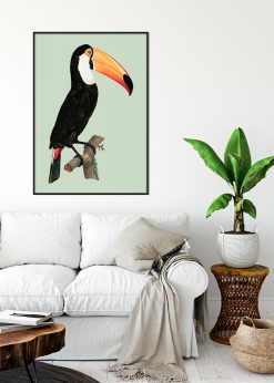Toucan Bird Vintage nr.3